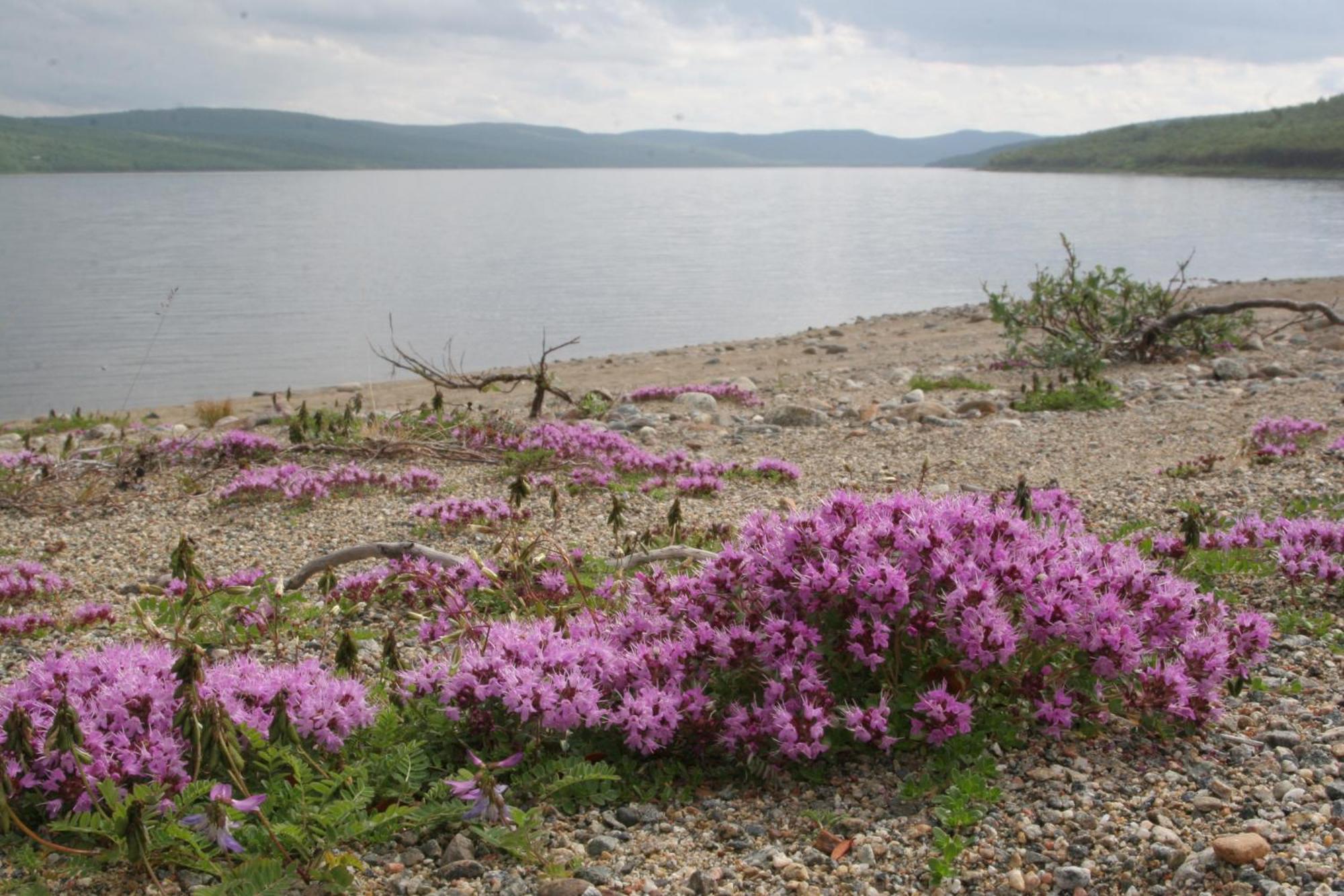 Holiday Village Nuorgamin Lomakeskus Экстерьер фото